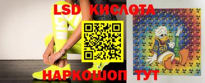 эйфоретик Краснодар