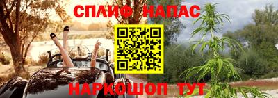 эйфоретик Краснодар