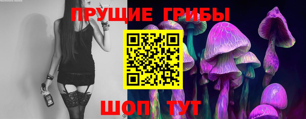 Псилоцибиновые грибы GOLDEN TEACHER Сыктывкар